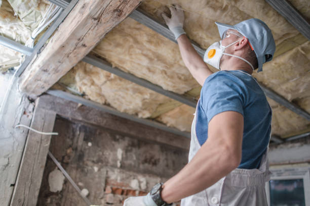 Best DIY Insulation Kits and Guidance in Bridgeport, OH