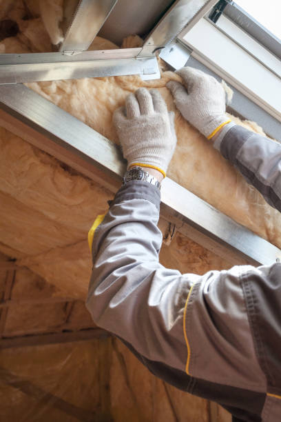 Best Specialized Insulation Services in Bridgeport, OH
